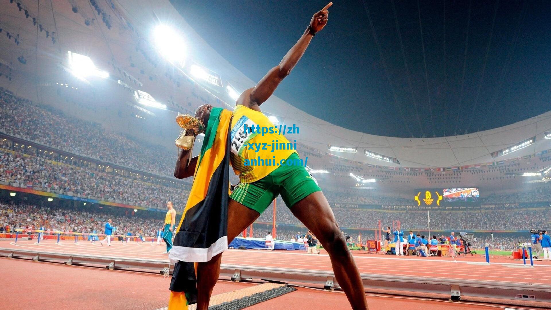 拜仁引援转会费排行榜揭晓，凯恩9500万欧元登顶，迪亚斯跻身前三